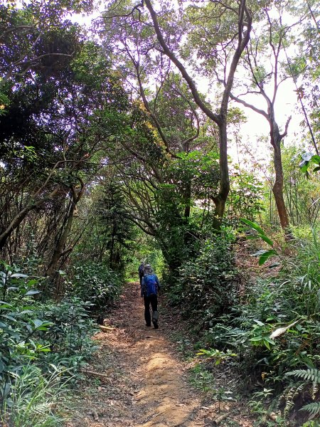 從新（心）出發遊蘆竹 - 横坑山、大古山1317842
