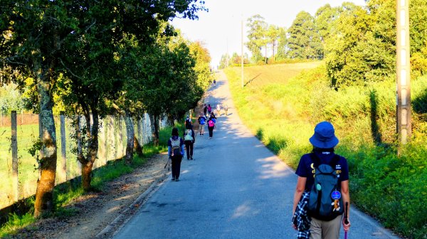 西班牙朝聖法國之路115KM, Day83126229