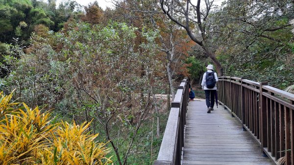 《新竹》城市微旅｜青青草原及香山濕地賞蟹步道202112121547103