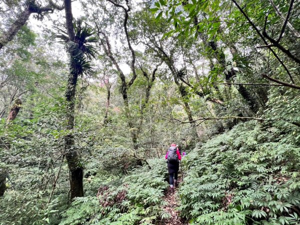 福巴越嶺國家步道2364473