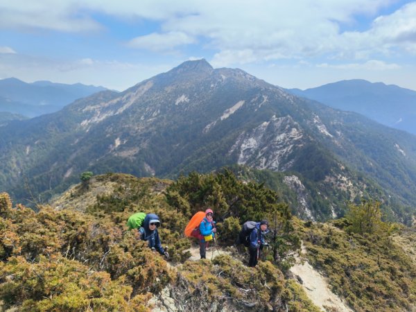 20240320 馬博8天縱走~第五天，馬里亞文路山，馬利加南山2471205
