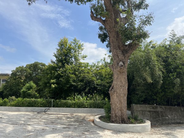 [皮皮獅探險隊-03/10] 2025_0706 犁頭山、文山步道2831456