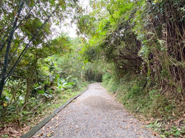 天母水管路古道1068093