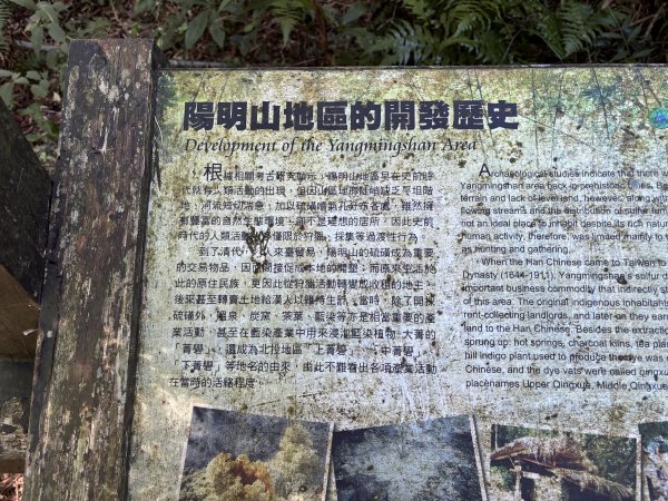 面天山、向天山、向天池2921027