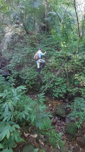 蛇來運轉之蛇年爬蛇山  蛇子形古道-三爪子坑山-蛇子崙山O型2784024