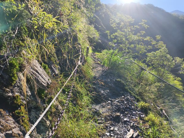 [玉山尋寶任務-07/12] 2025_0824 八通關雲龍瀑布步道2870656