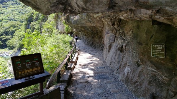 山巒峻秀溪水碧綠－砂卡噹步道1048820