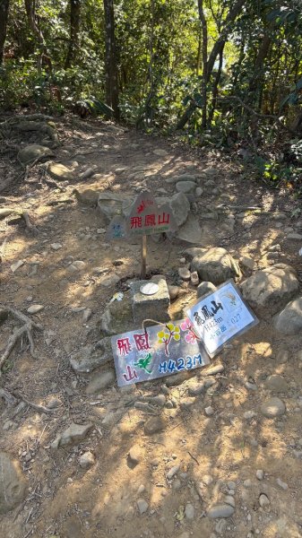 2025-11-30 飛鳳山 走來回2952654