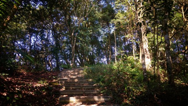出關古道關刀山步道1584802