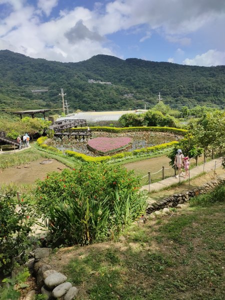 白石湖吊橋、春秋步道1708838