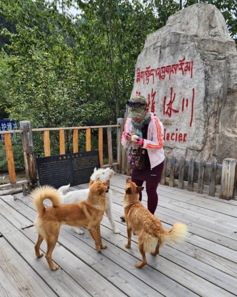 西藏♥️可愛動物🐎人物寫真/拉薩旅拍/美食2902975