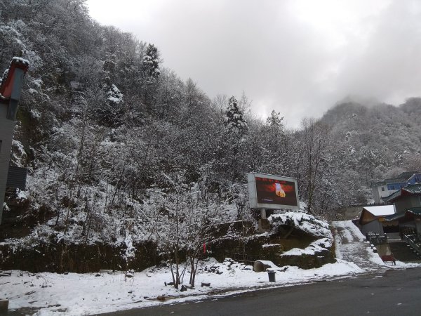 湖北武當山-金頂(太和宮)2923705