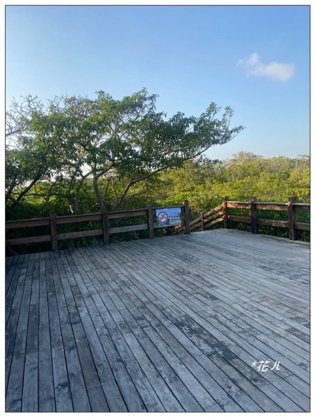 新豐紅樹林木棧步道2707070