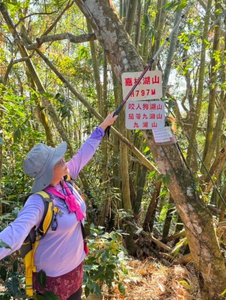 崁頭山(小百岳#64)嘉林湖山 咖啡山 獅額山環形2667574