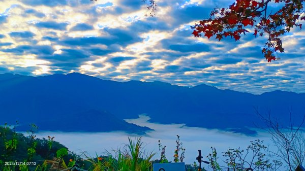 二訪馬拉邦山，解鎖 #琉璃光雲海 #日出雲海  #血月 #斜射光 #楓葉紅了！2668631
