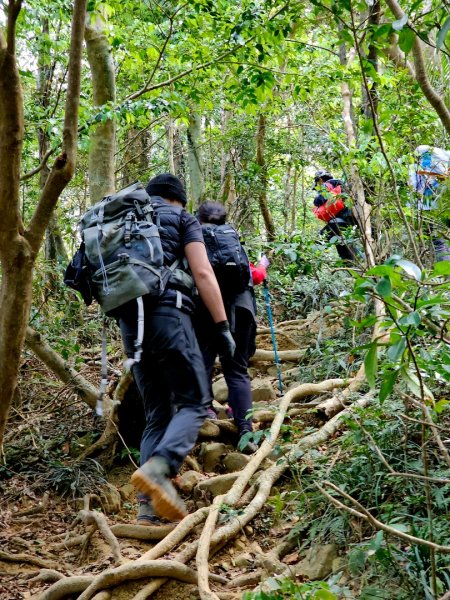 里龍山-小百岳#69-屏東縣獅子鄉2750531