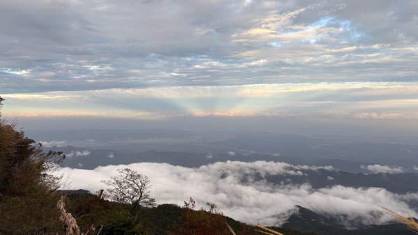 再見加里山2961862