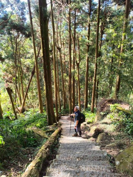 20251218溪頭鳳凰山台寅山上天文台至妖怪村買菜O繞2965588