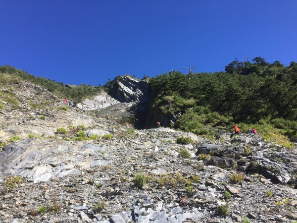 20220711一日雙星關山嶺山-塔關山1766660