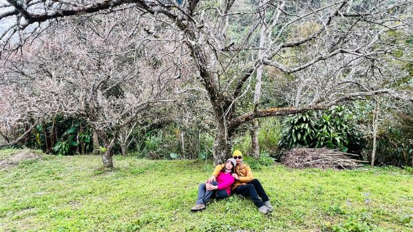 🌈1/18(六)小百岳雙收~大橫屏山+九份二山順遊賞梅🌈FB：熊熊趴爬走 歡迎加入2692546