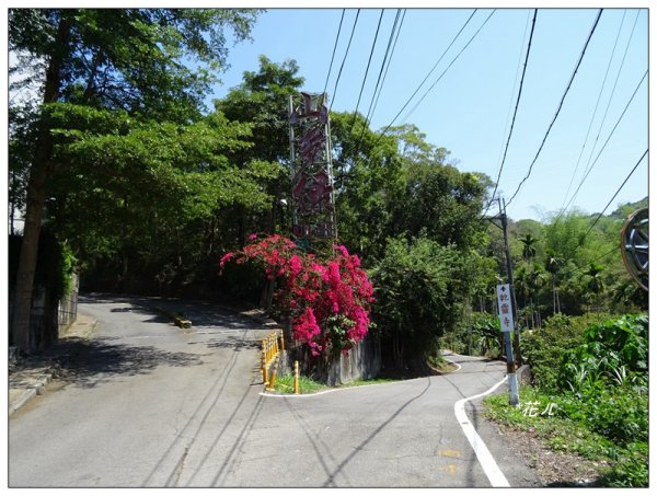 望月峰/獻堂登山步道926039