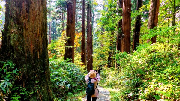 山形縣羽黑山神社2929700