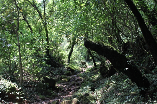 20160502台灣台北陽明山金包里步道公開90673