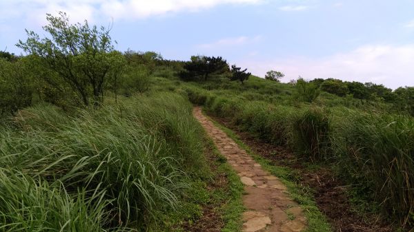 頂山,石梯嶺,竹篙山連走!165066