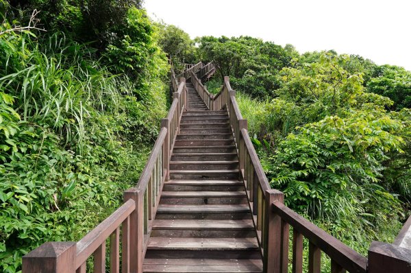 新北 瑞芳 南子吝山2836951