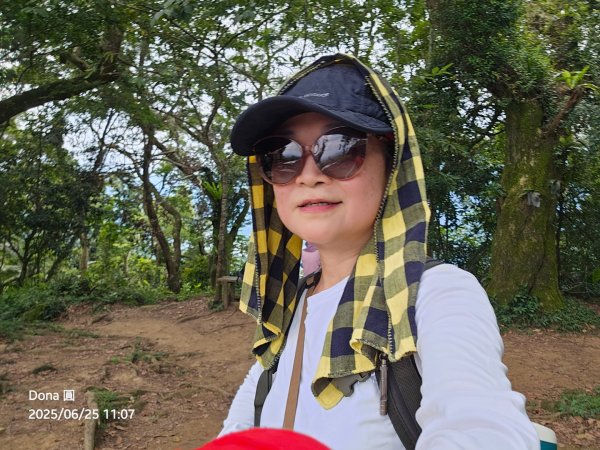 大溪大九芎步道上小百岳溪洲山(H577m)2844315