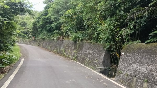 雙溪區嶺頭觀日步道-西九份坑山-西九份坑山前峰-雙溪車站3063088