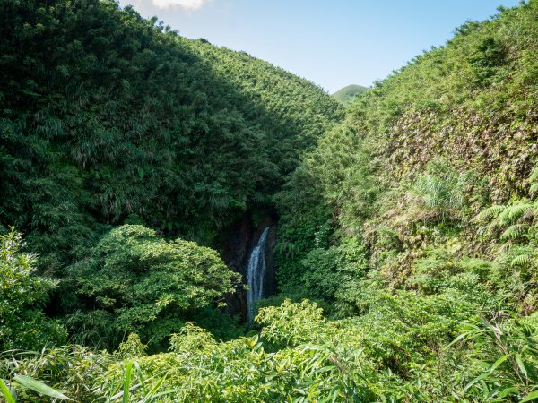 【行腳陽明山】初夏裡蒼翠欲滴的環七星山與百拉卡公路人車分道2188708