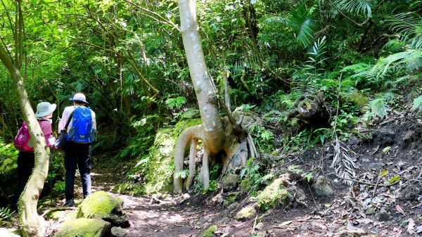 猴崁古道。盧特訪積2773268