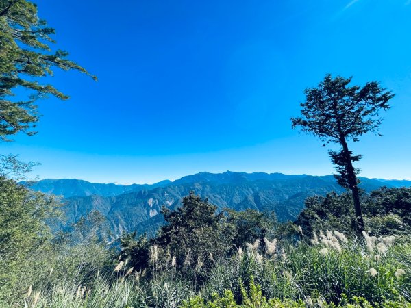 20251209 阿里山-小笠原觀景平台、祝山觀日步道2959795
