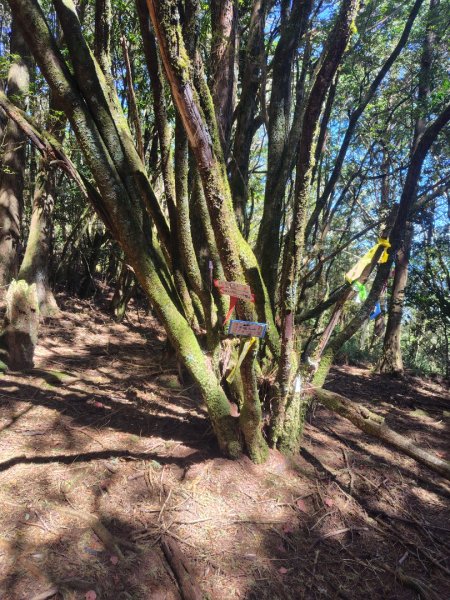 守關山南峰 守關山 守城大山2919163