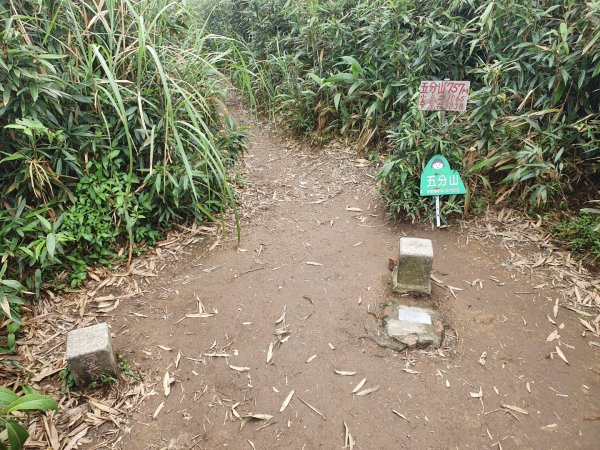 小觀音山木棧道，水源町公園，寶藏巖藝術村，五分山，頂子寮山，望古瀑布，石碇外按古道，烏塗溪古道1648151