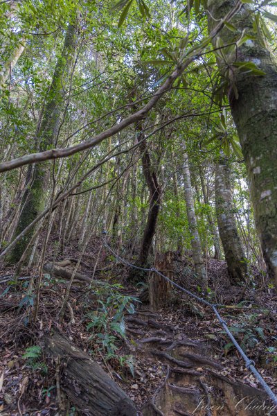 谷關七雄_屋我尾山2977015