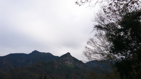 水雲三星之鳳-上島山(鳥嘴山)508306