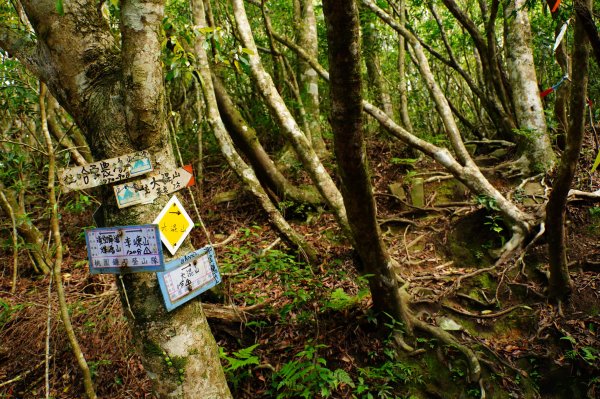 新竹 尖石 大混山、牛欄坑山、李崠山3058564