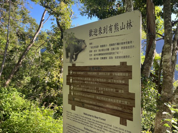 [玉山尋寶任務-03/12] 2025_0810 瓦拉米步道2857399