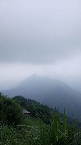 鵝公髻山（小百岳）O型走345843