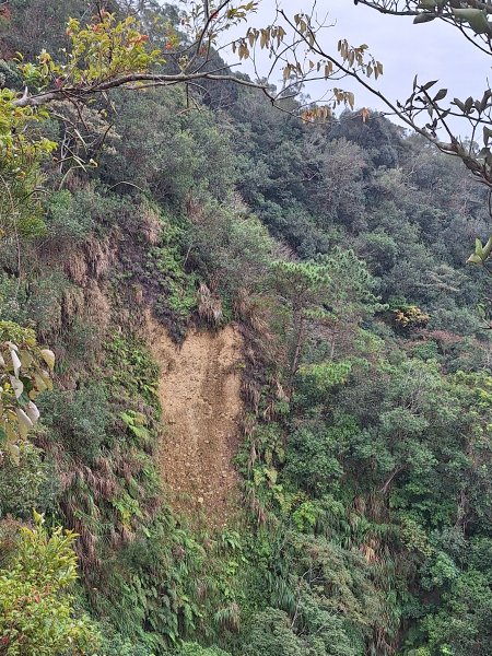 飛龍步道(崇聖亭起登)202401222696334