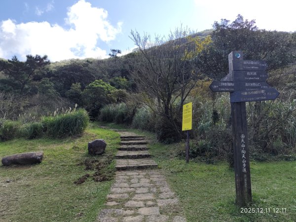【臺北大縱走 2】【第二回合全程完成證書】鞍部→大屯山步道→大屯山主峰→大屯坪步道→二子坪步道2960407