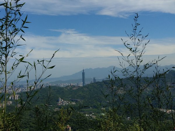 指南宮步道1453927