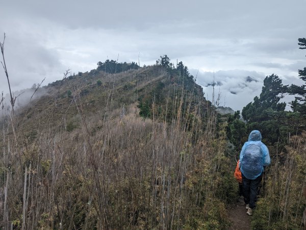 郡大山(百岳#54)、望鄉山登山行封面