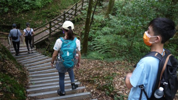 東眼山登山健行趣(小百岳22號)1544320