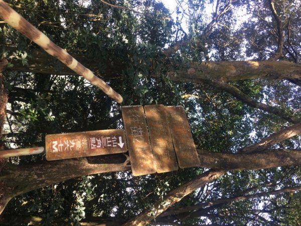 仙山（靈洞宮、協靈宮2723179