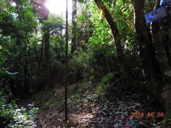 新竹 五峰 鳥嘴山、鵝公髻山986653