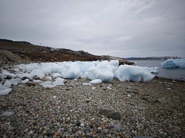 [紐約馬之行-48] 2025_1108 努克環狀步道 5/52951685