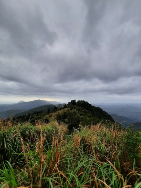 20230226 基隆姜子寮山（小百岳）2044666